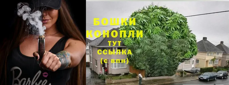 Бошки марихуана SATIVA & INDICA  OMG сайт  Новочебоксарск 